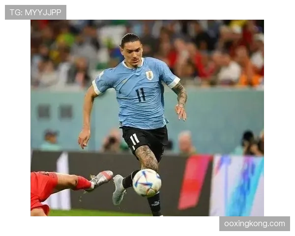 努涅斯的终结效率与战术适配性是否被高估？